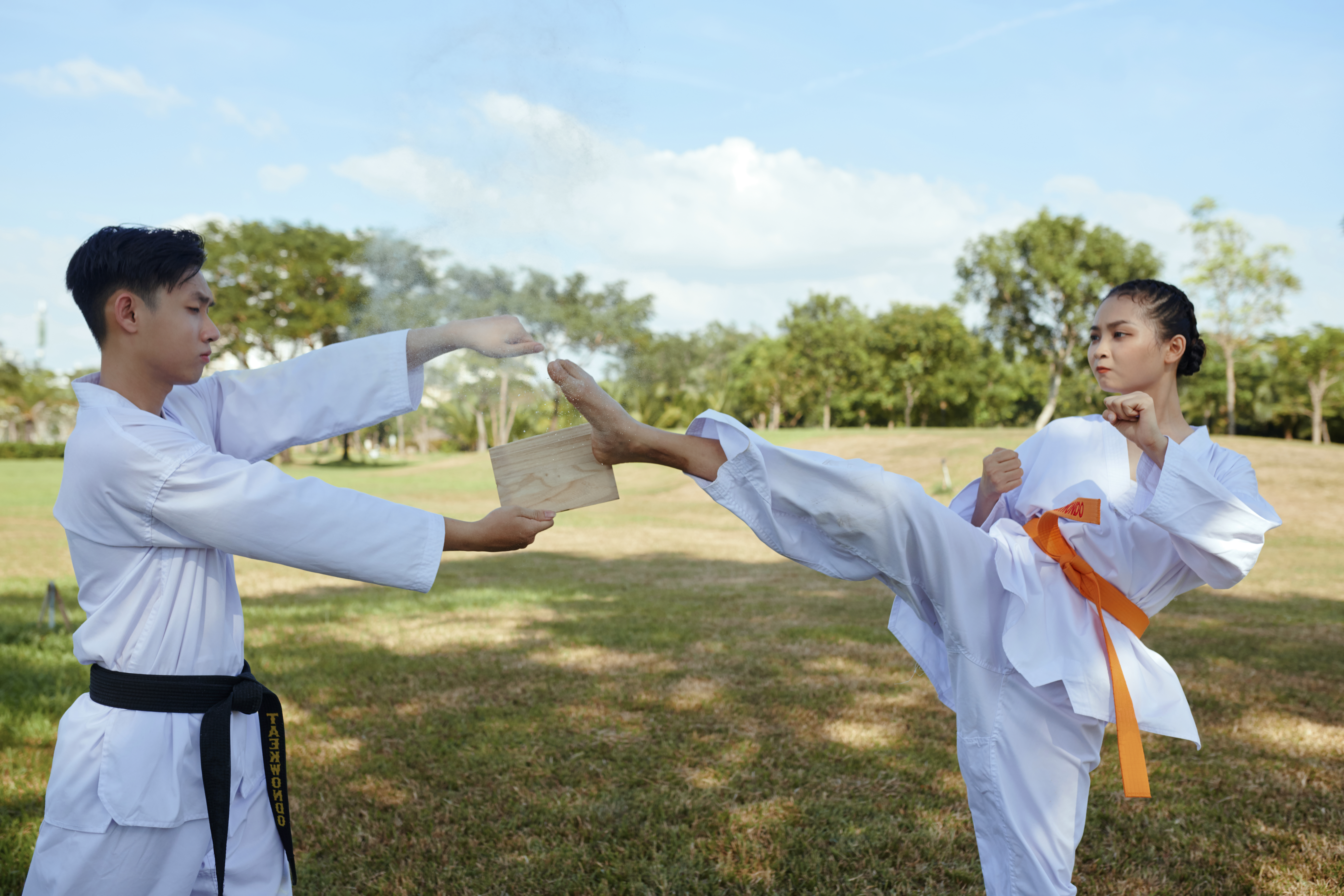 Taekwondo Athlete Kicking Wooden Board